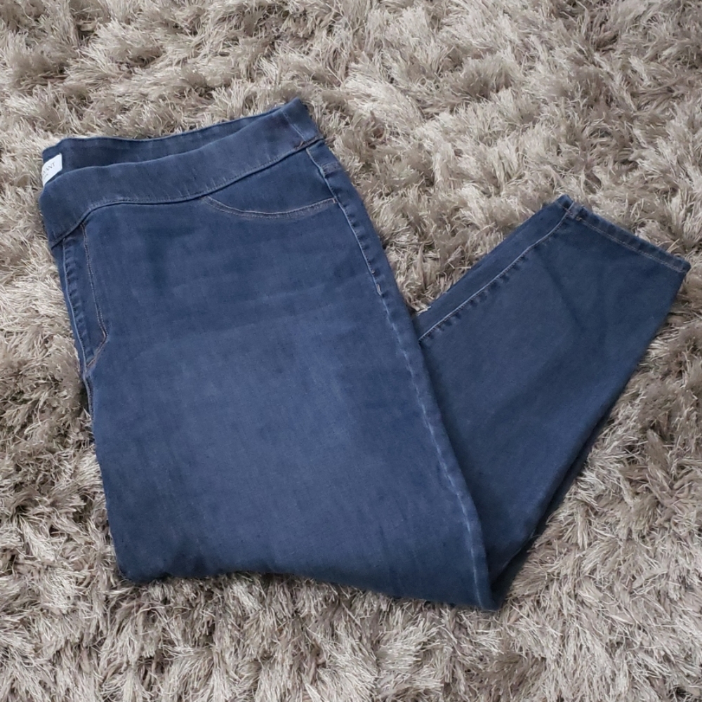Lane Bryant Blue Jeggings